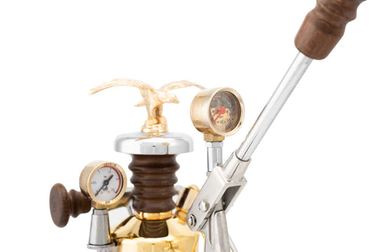 Mounted pressure gauge of La Pavoni Esperto Competente